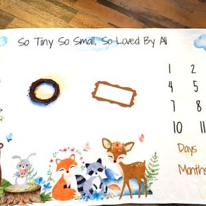 Baby milestone blanket